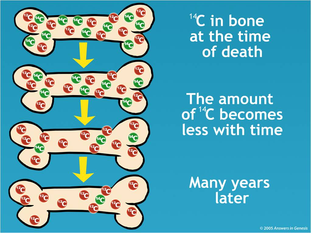 carbon dating